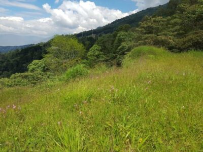 Lote en venta en Santa Elena